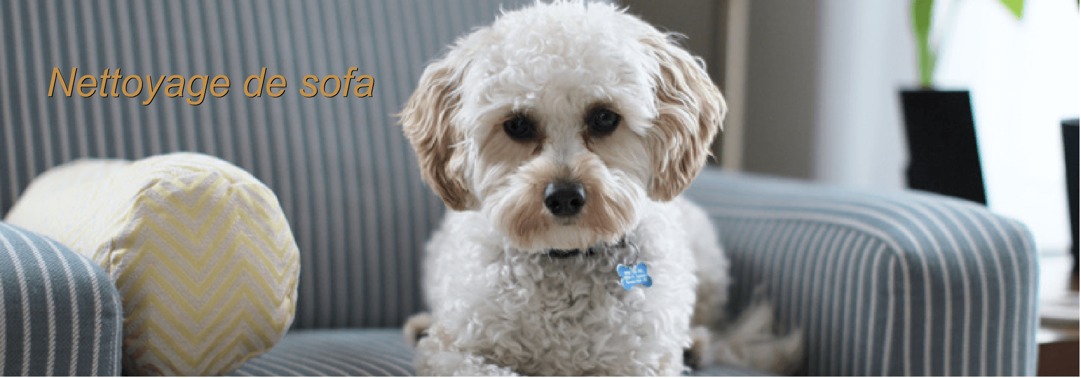 Nettoyage de sofa