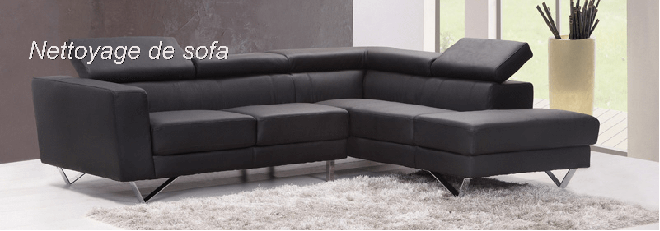 Nettoyage de sofa